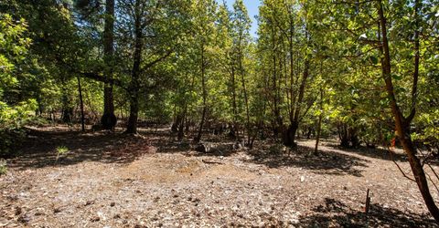 3196 Pine Cone Ct, Placerville, CA 95667 Photo