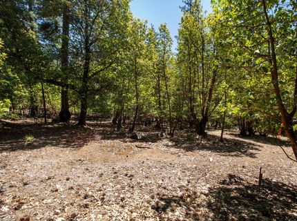 3196 Pine Cone Ct, Placerville, CA 95667 Photo