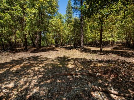 3196 Pine Cone Ct, Placerville, CA 95667 Photo