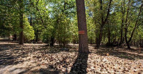 3196 Pine Cone Ct, Placerville, CA 95667 Photo
