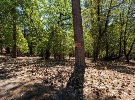 3196 Pine Cone Ct, Placerville, CA 95667 Photo