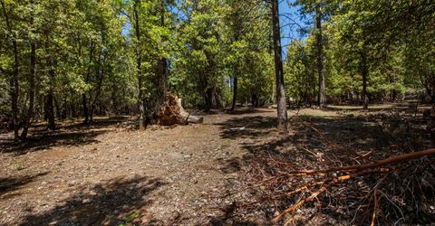 3196 Pine Cone Ct, Placerville, CA 95667 Photo