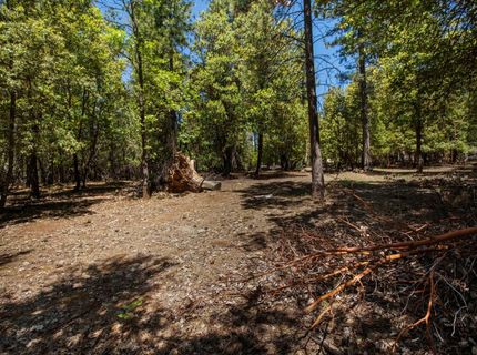 3196 Pine Cone Ct, Placerville, CA 95667 Photo