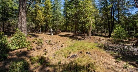 3196 Pine Cone Ct, Placerville, CA 95667 Photo