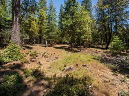 3196 Pine Cone Ct, Placerville, CA 95667 Photo