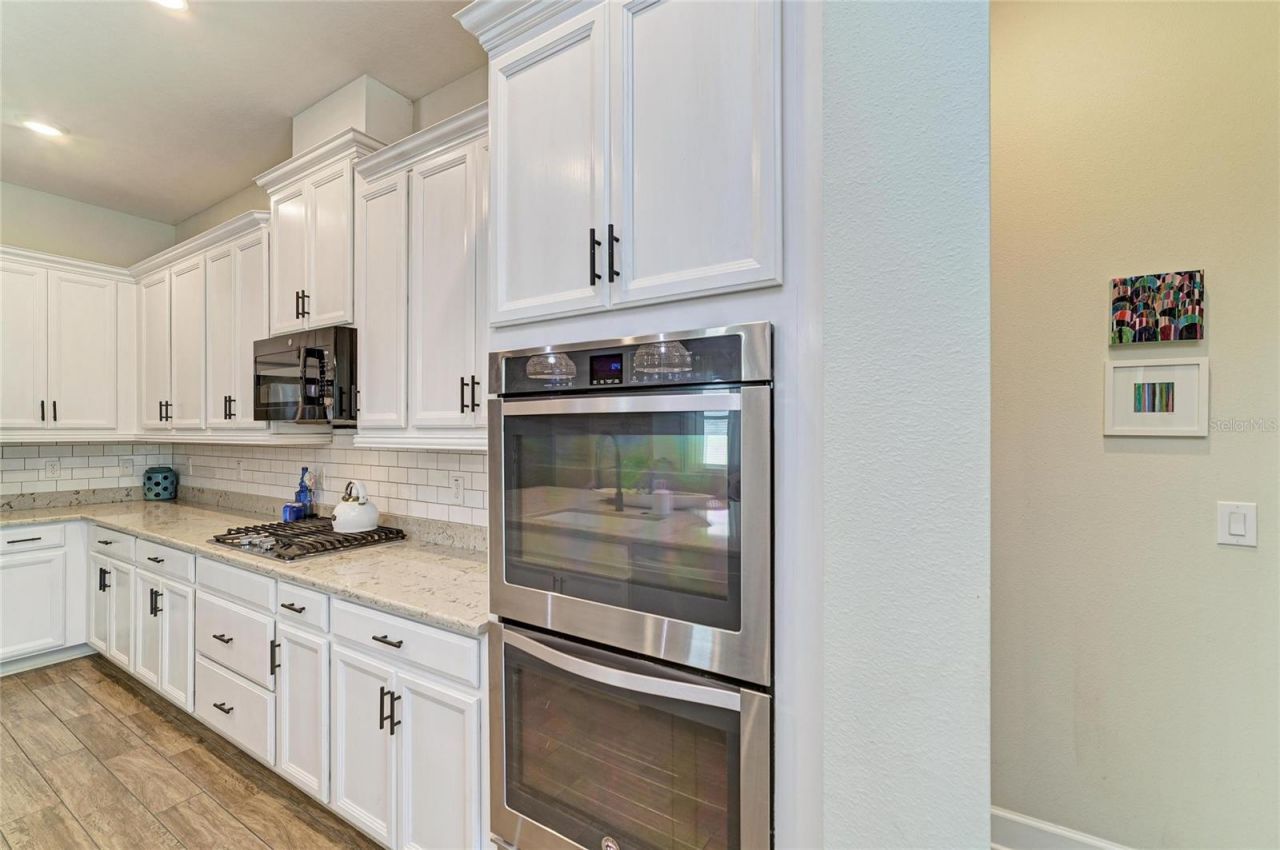 13820 American Prairie Place, Lakewood Ranch, FL 34211 Photo