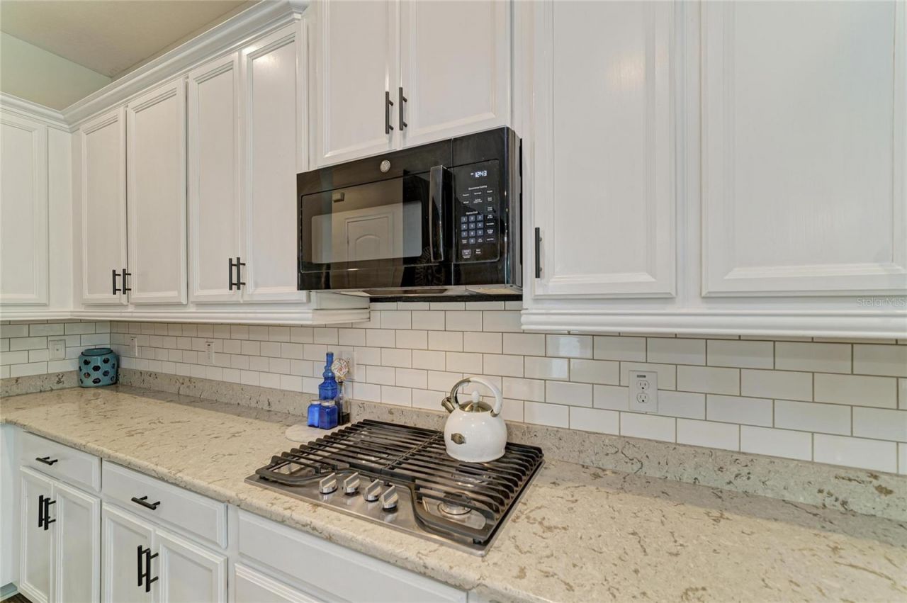 13820 American Prairie Place, Lakewood Ranch, FL 34211 Photo