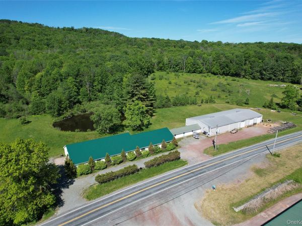 295 Jeffersonville North Branch Road , Jeffersonville, NY 12748