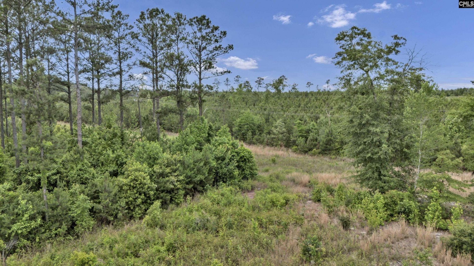 Na Bull Swamp  Photo 10