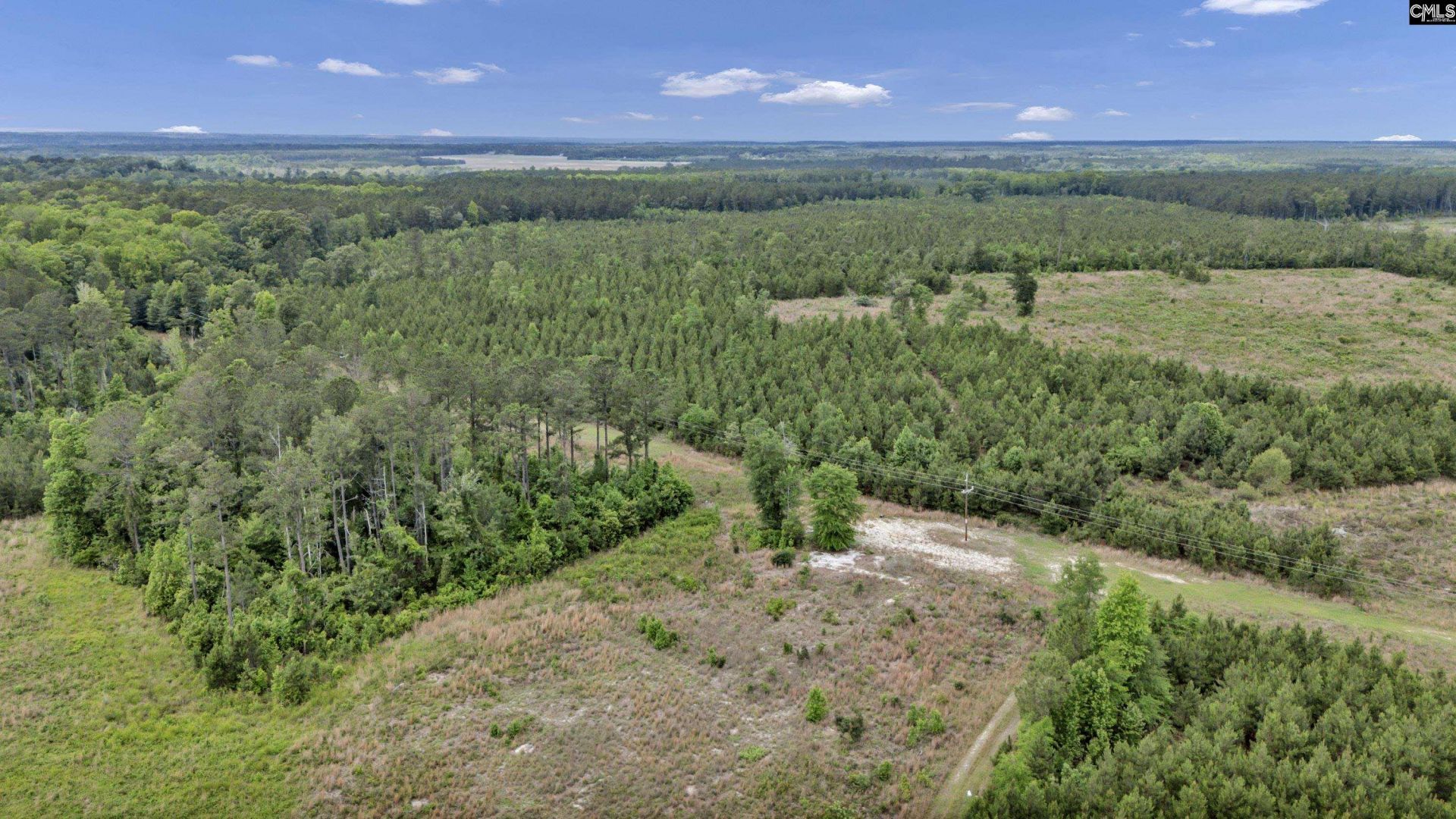 Na Bull Swamp  Photo 11