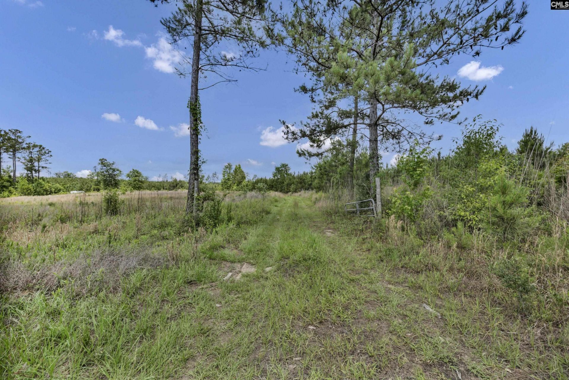 Na Bull Swamp  Photo 14