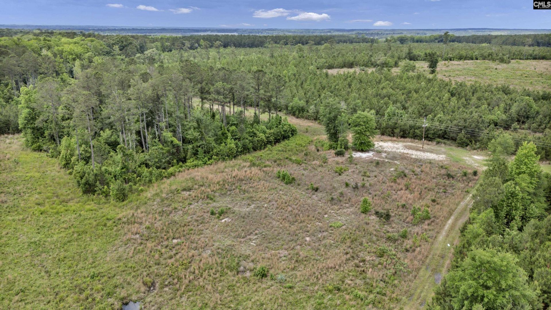 Na Bull Swamp  Photo 16