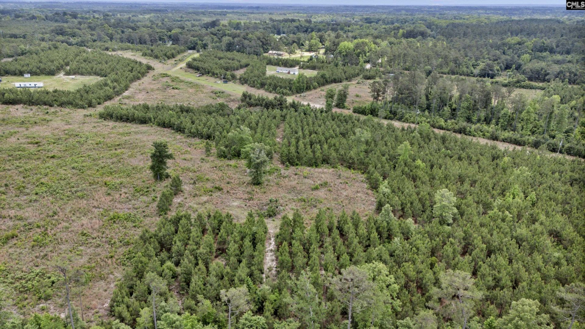 Na Bull Swamp  Photo 18
