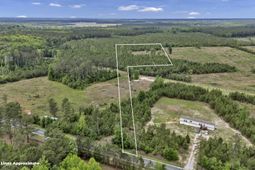 Na Bull Swamp  photo 4