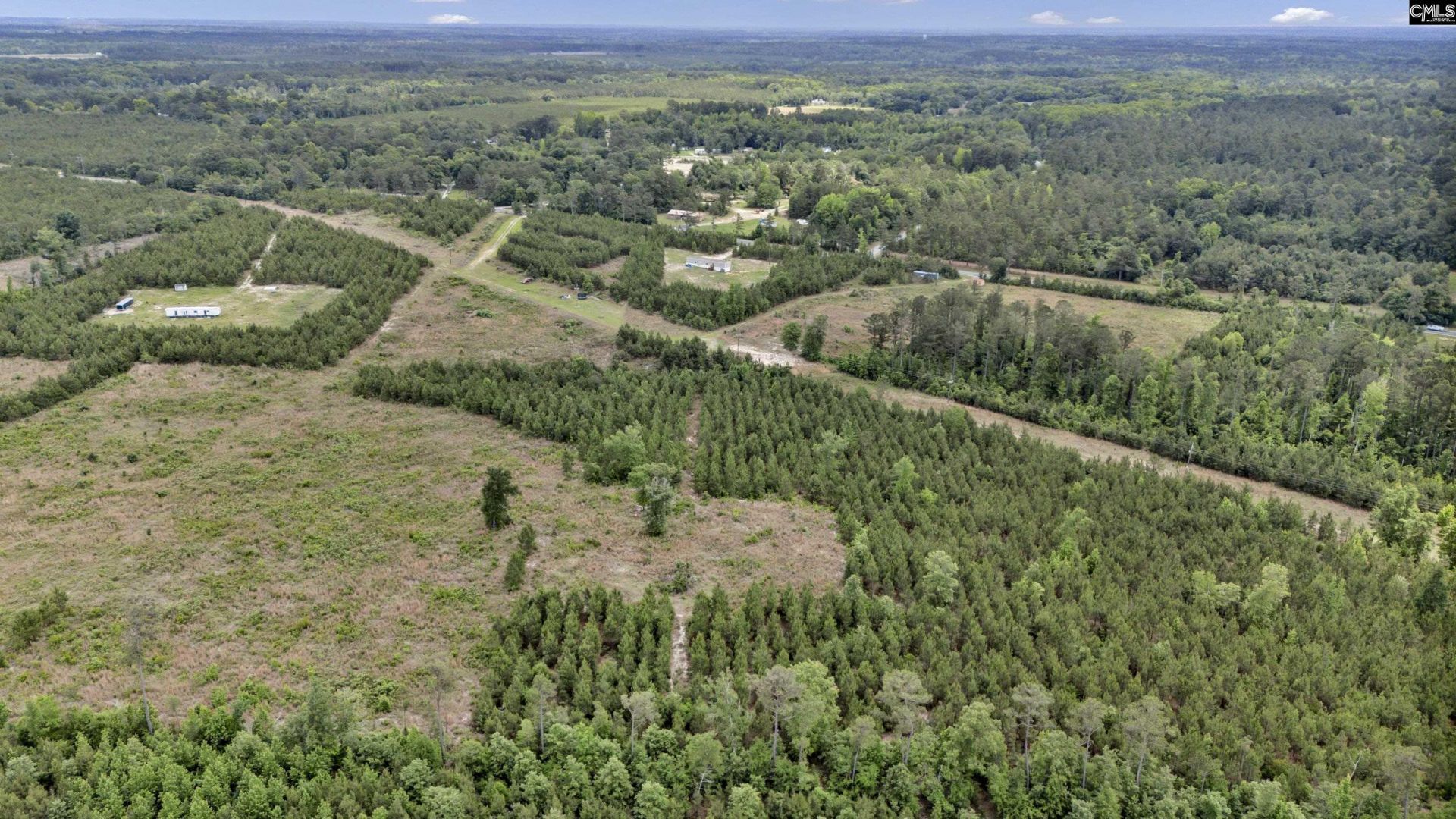 Na Bull Swamp  Photo 20