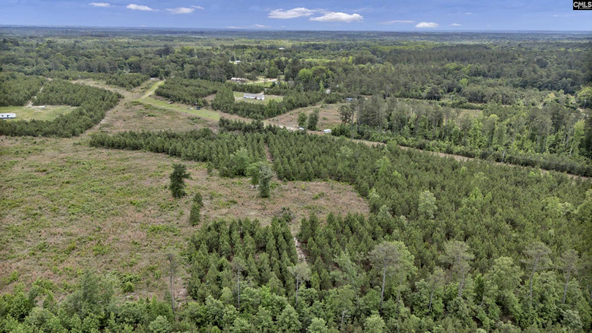 Na Bull Swamp  Photo 22