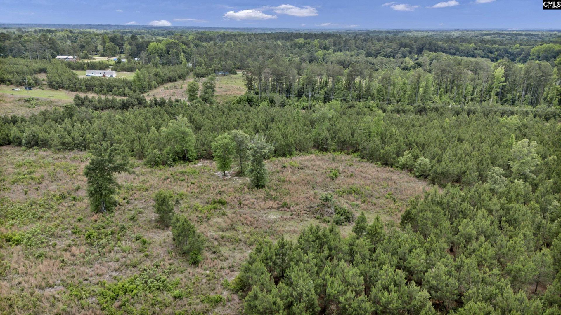 Na Bull Swamp  Photo 23