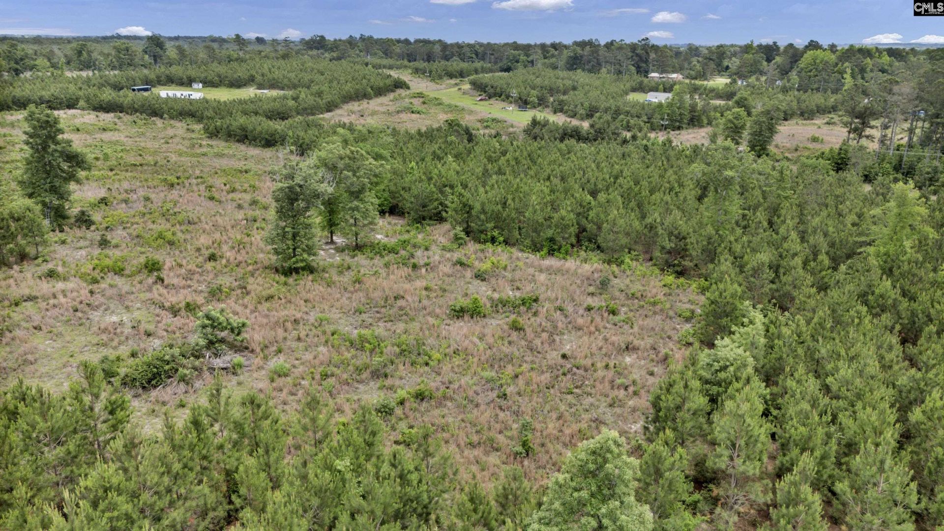 Na Bull Swamp  Photo 24