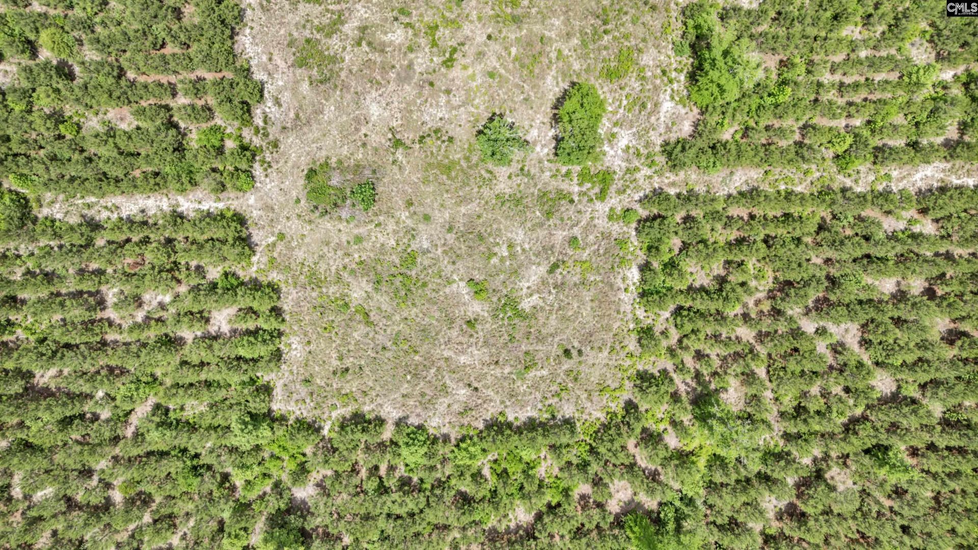 Na Bull Swamp  Photo 25