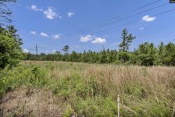 Na Bull Swamp  photo 4