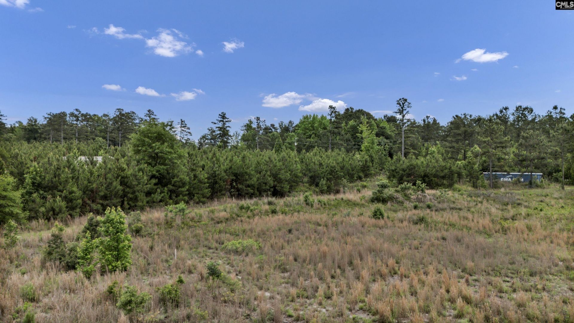 Na Bull Swamp  Photo 4