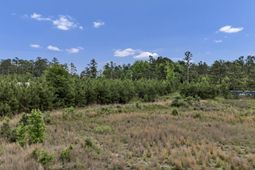 Na Bull Swamp  photo 4