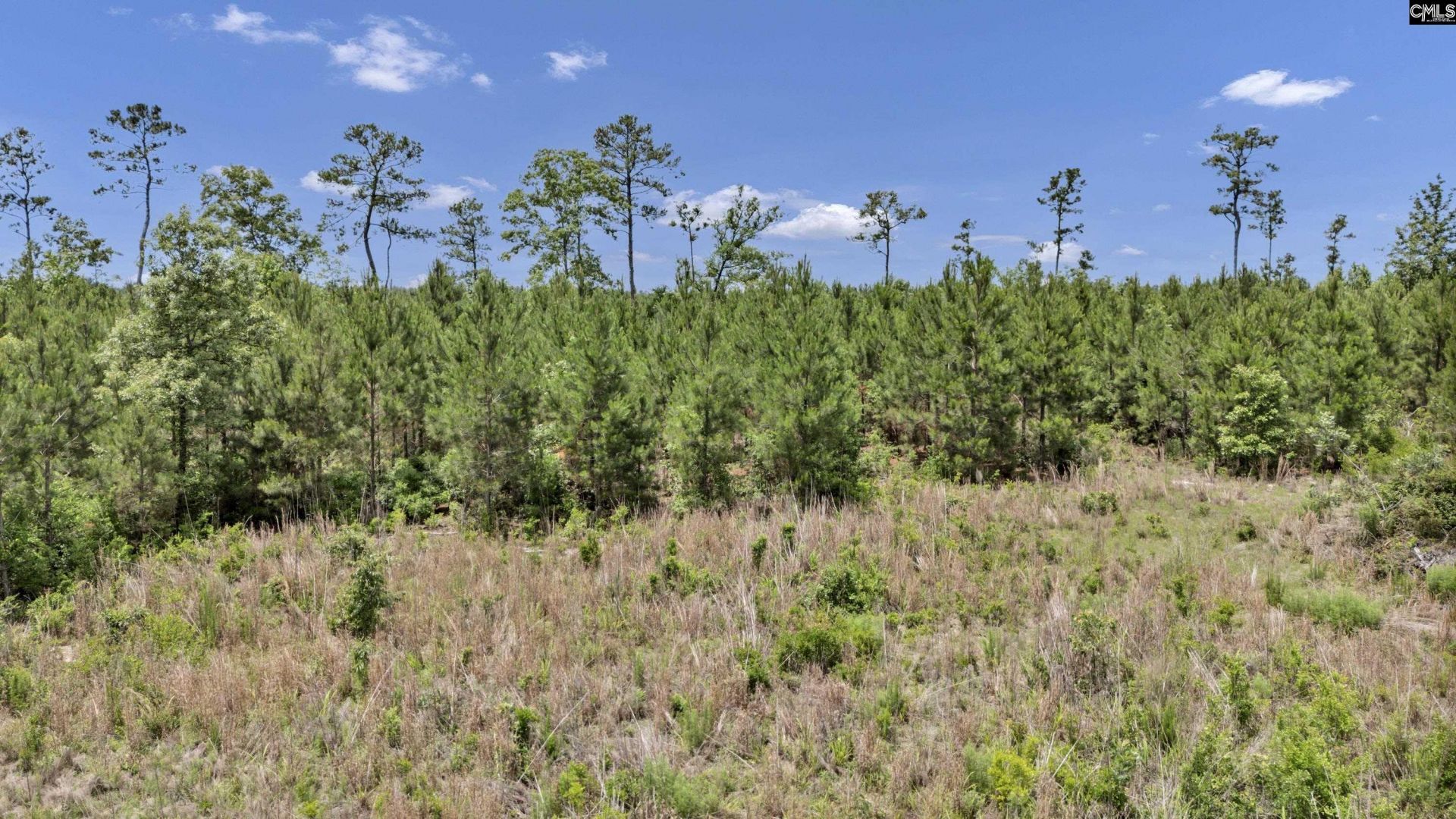 Na Bull Swamp  Photo 6