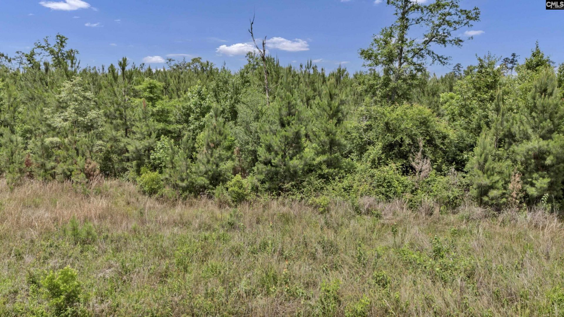 Na Bull Swamp  Photo 8