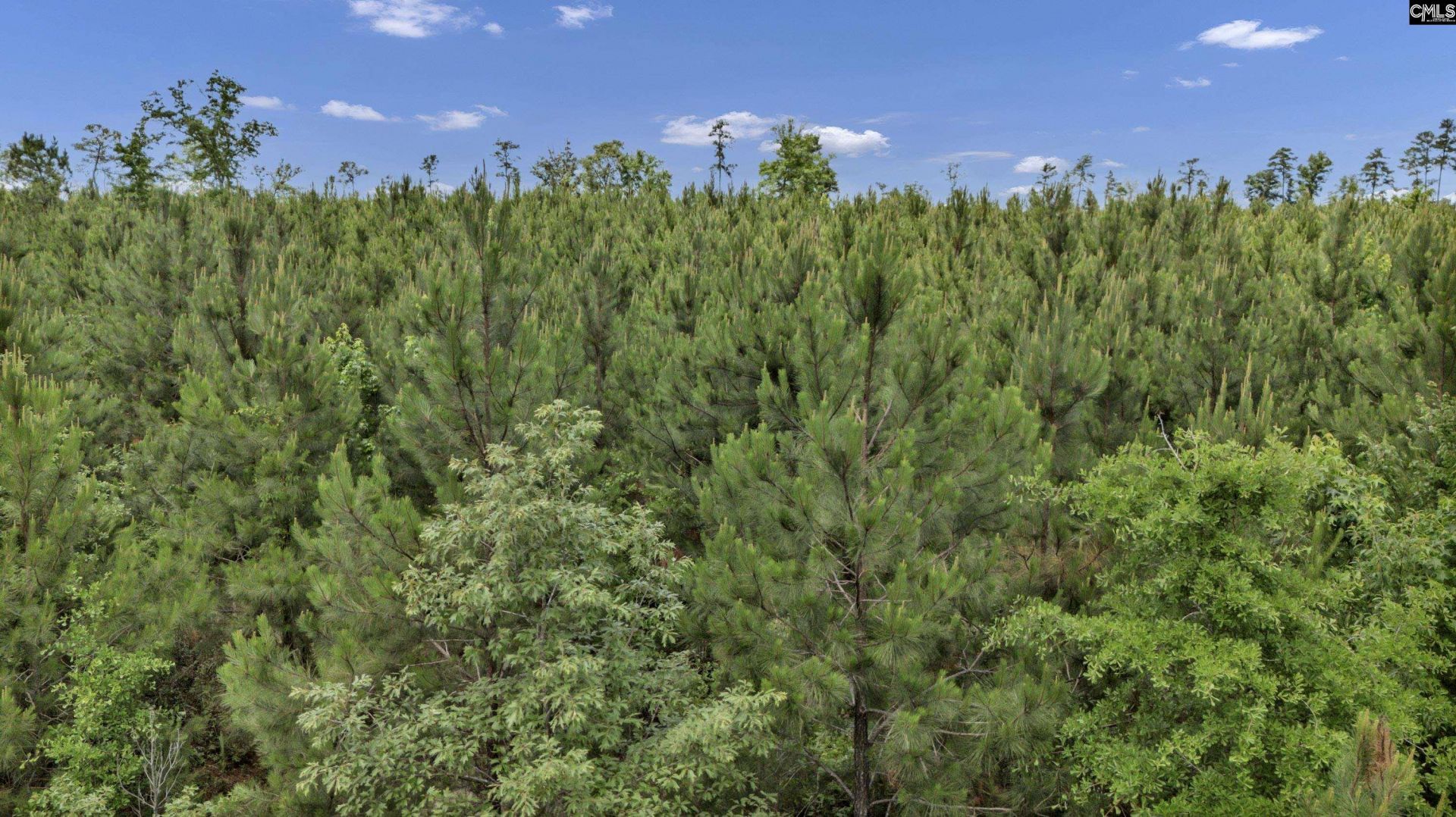 Na Bull Swamp  Photo 9