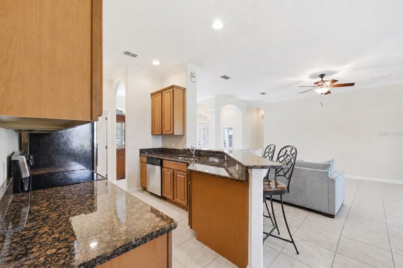 405 Dagama Drive , Clermont, FL 34715 Photo
