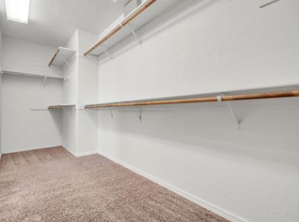 8859 Shasta Lily Dr, Elk Grove, CA 95624 Photo