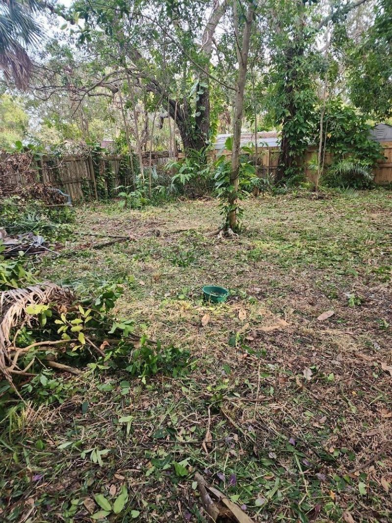 2720 Bayside Drive S, Saint Petersburg, FL 33705 Photo
