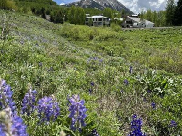 379 S Avion Drive, Crested Butte, CO 81224