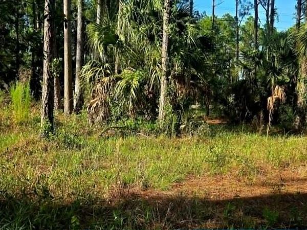 State Rd 349, Suwannee, FL 32692