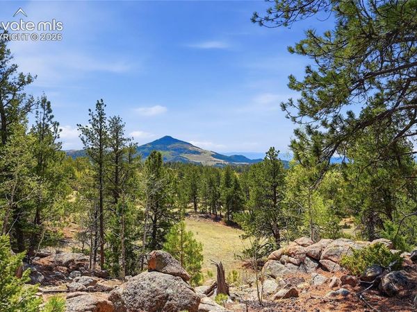 7070 County Road 1, Cripple Creek, CO 80813