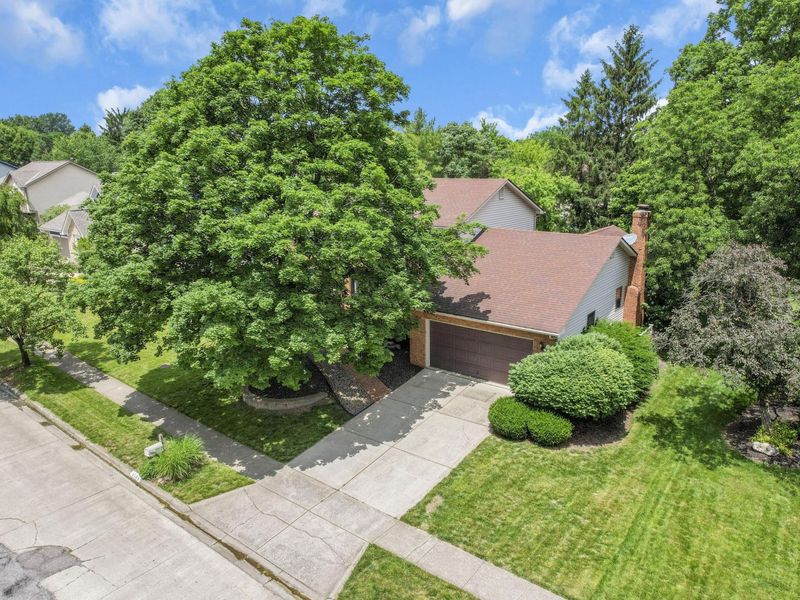 1584 Buckshot Court, Worthington, OH 43085 Photo 3