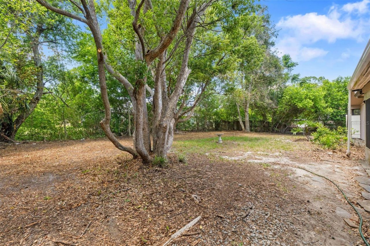 7447 Dundee Way, Weeki Wachee, FL 34613 Photo