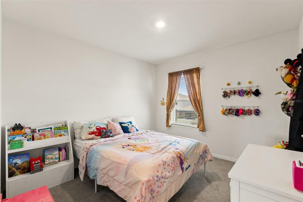 33567 Hamilton Hill Lane , Wesley Chapel, FL 33545 Photo