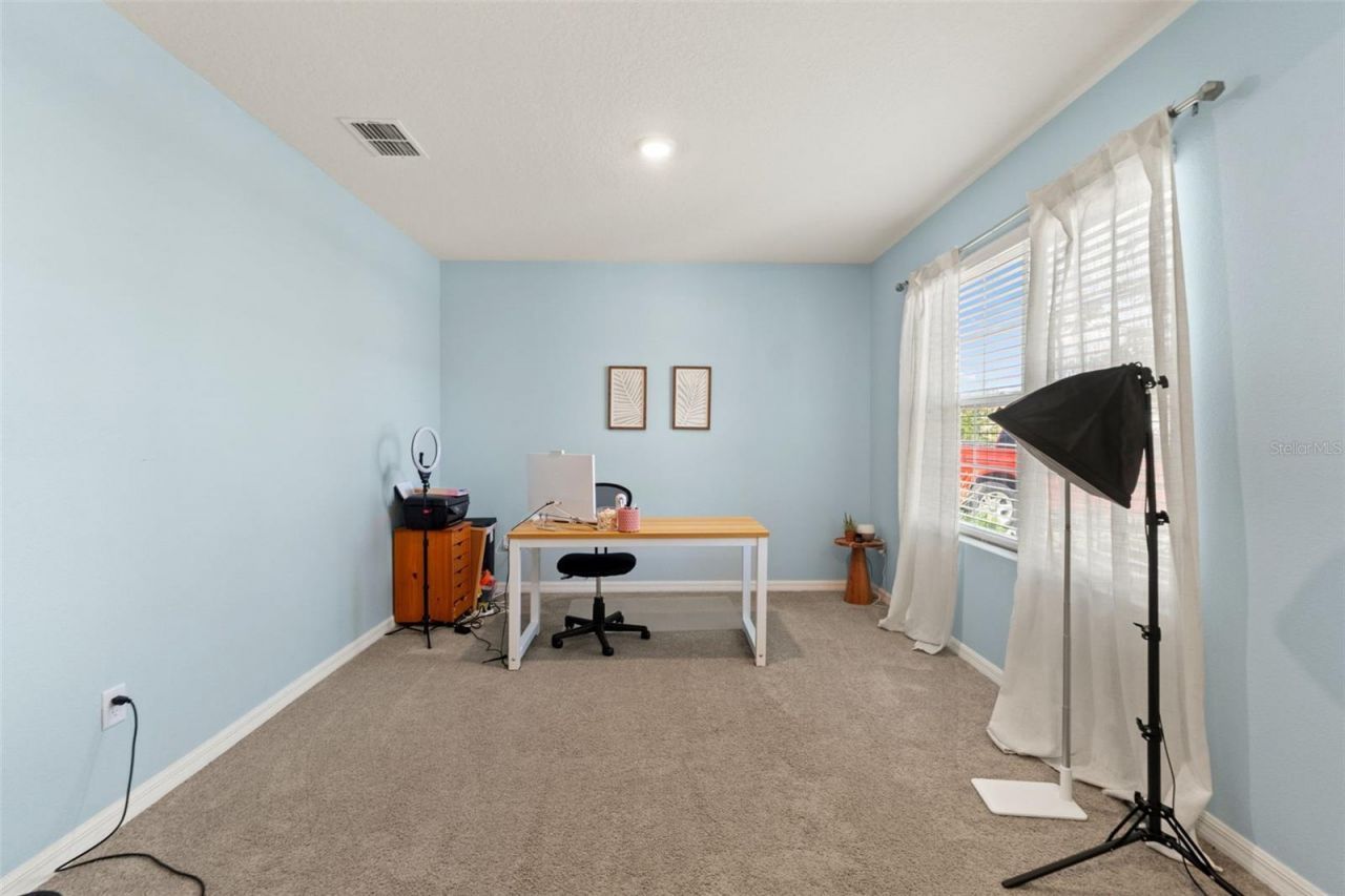 33567 Hamilton Hill Lane , Wesley Chapel, FL 33545 Photo