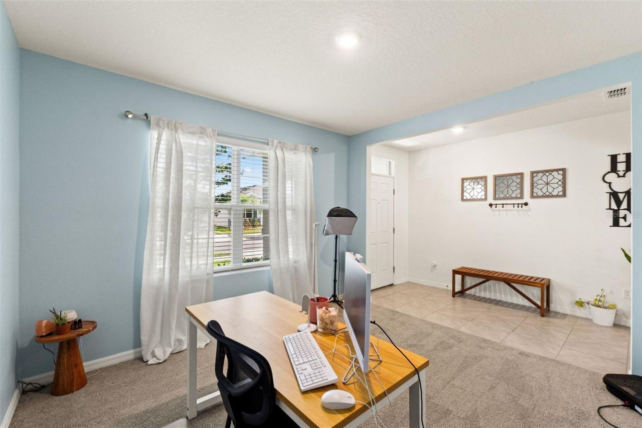 33567 Hamilton Hill Lane , Wesley Chapel, FL 33545 Photo