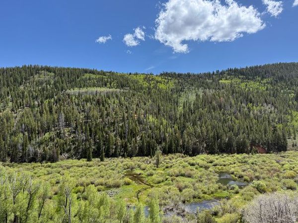 Woodland, UT 84036