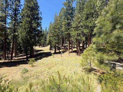 300 Peppergrass Lane, Portola, CA 00000 Photo