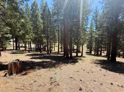 300 Peppergrass Lane, Portola, CA 00000 Photo