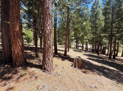 300 Peppergrass Lane, Portola, CA 00000 Photo