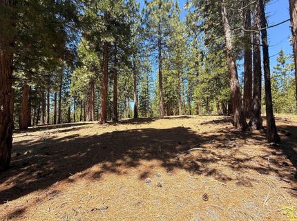 300 Peppergrass Lane, Portola, CA 00000 Photo