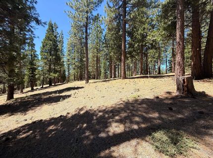 300 Peppergrass Lane, Portola, CA 00000 Photo