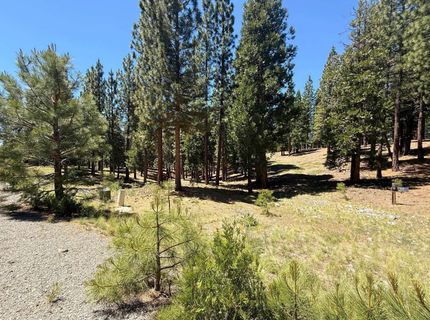 300 Peppergrass Lane, Portola, CA 00000 Photo