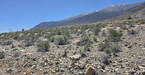 110 Shores Drive, Walker Lake, NV 89415 Photo