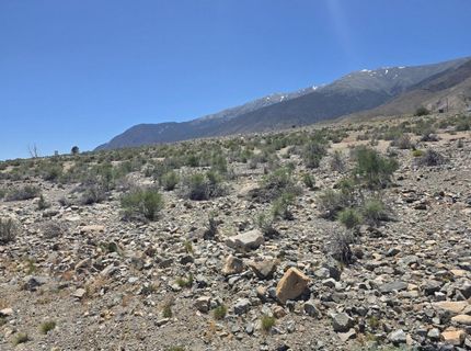 110 Shores Drive, Walker Lake, NV 89415 Photo