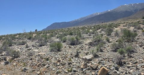 110 Shores Drive, Walker Lake, NV 89415 Photo